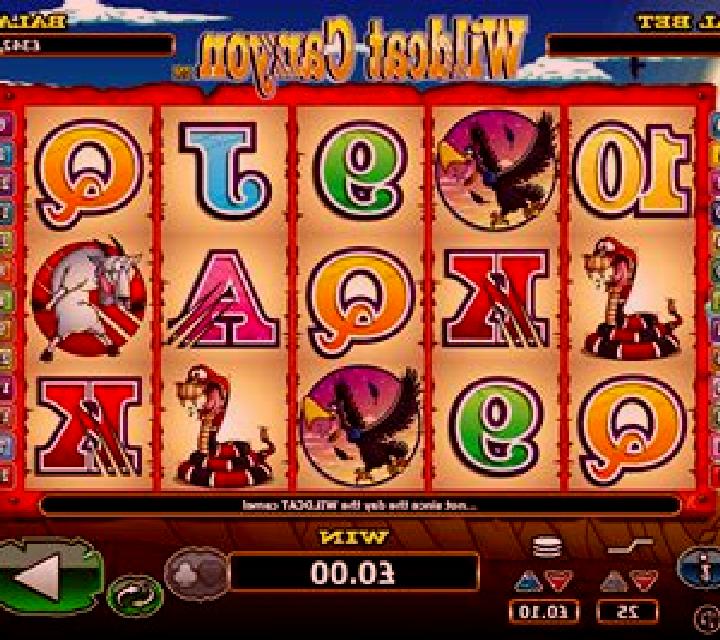 Wild Cat Canyon slot game