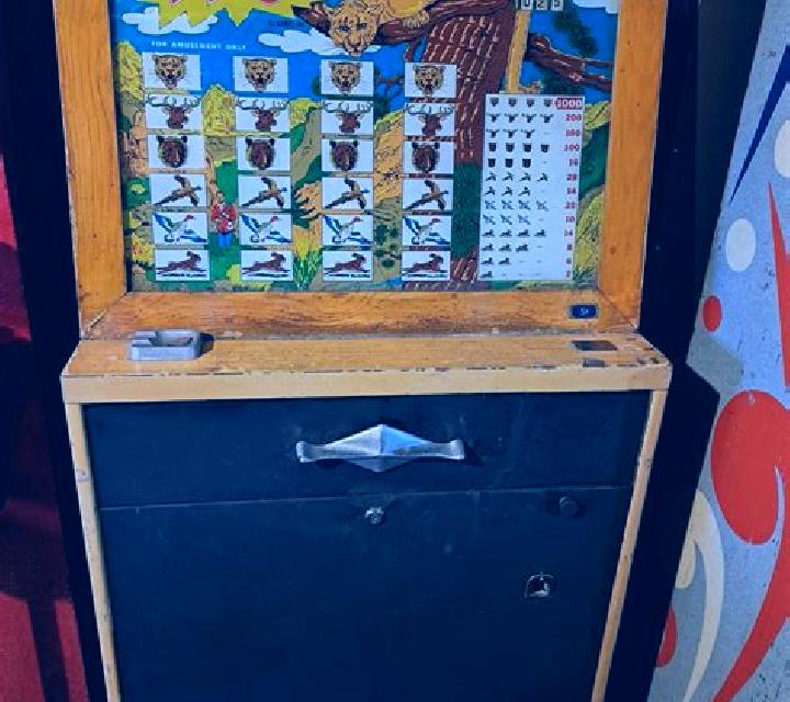 Wild Cat Canyon slot machine