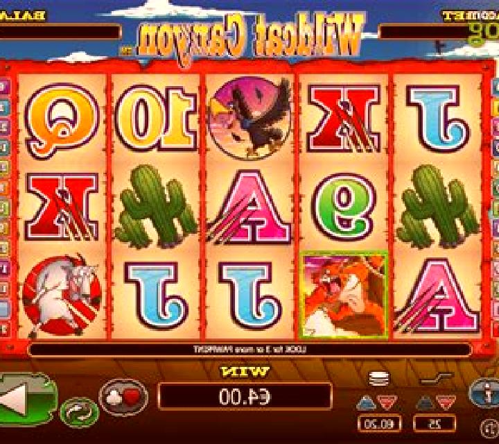 Wild Cat Canyon slot