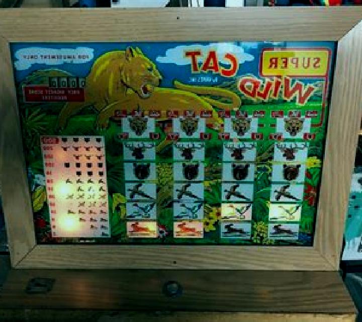 Wild Cat slot machine