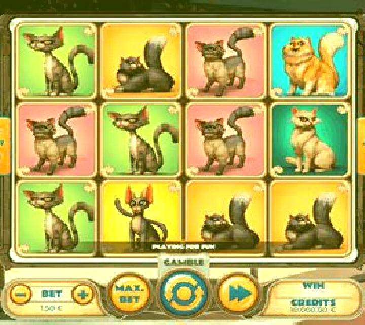 Wild Cat slot