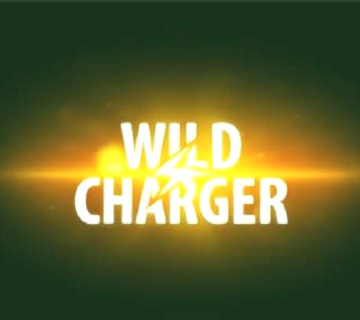 Wild Charger slot