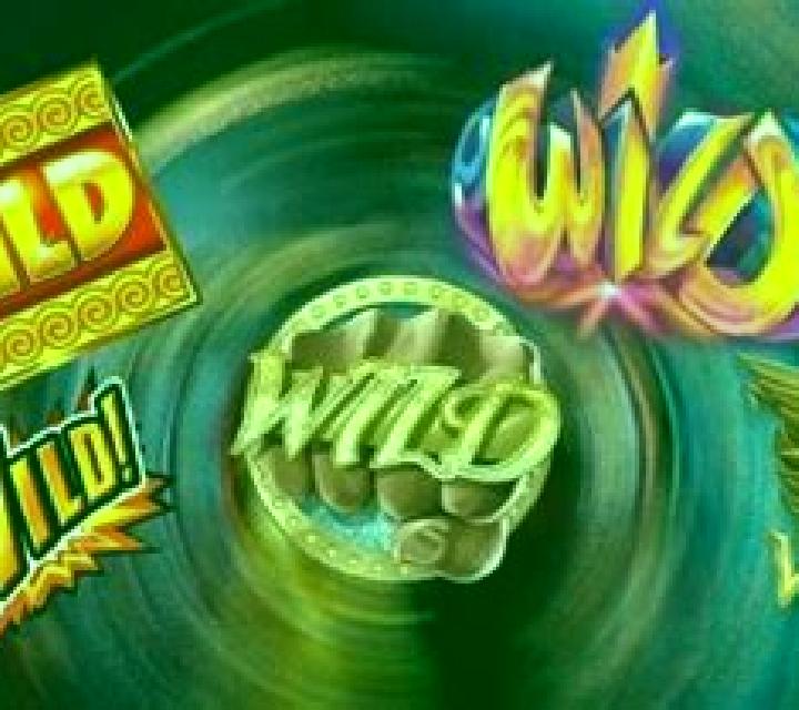 Wild Chips slot
