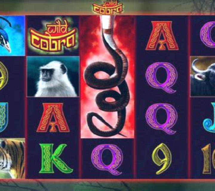 Wild Cobra slot
