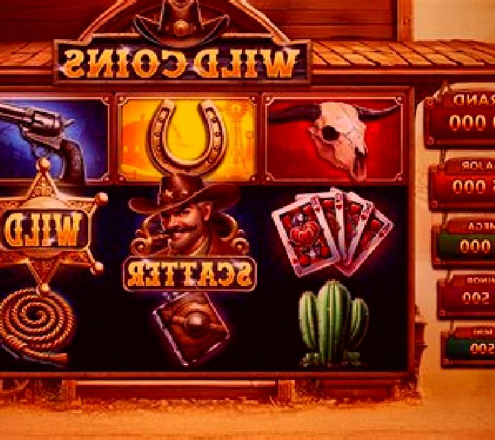 Wild Coins slot game