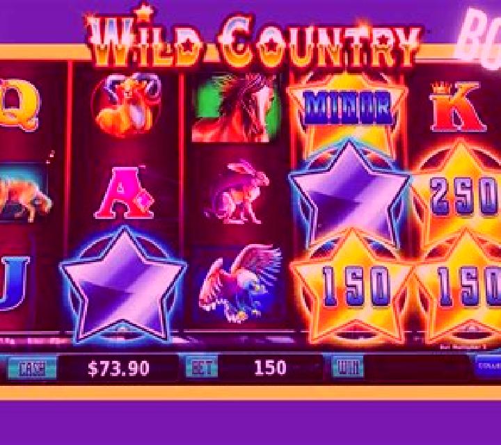 Wild Country slot machine