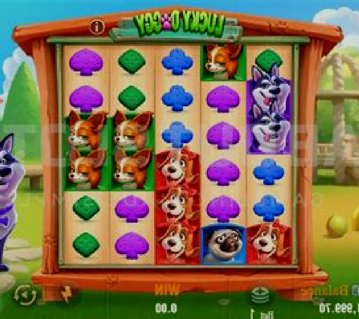 Wild Dog slot game