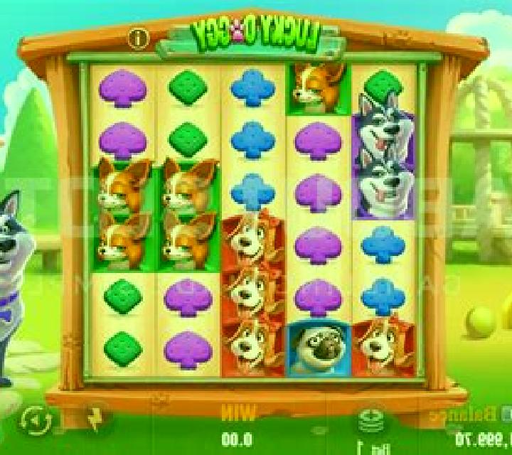 Wild Dog slot machine