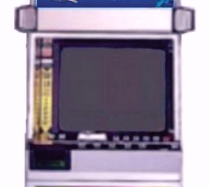 Wild Dolphins online slot