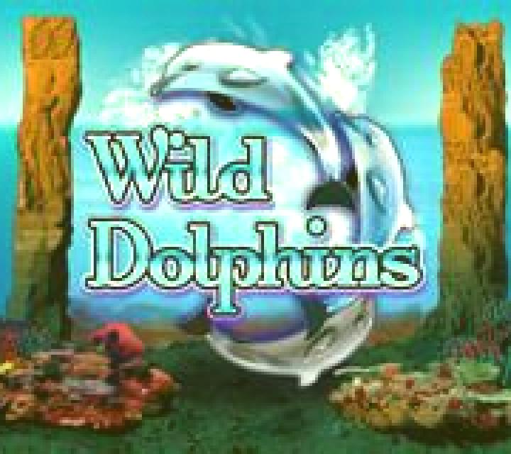 Wild Dolphins slot machine