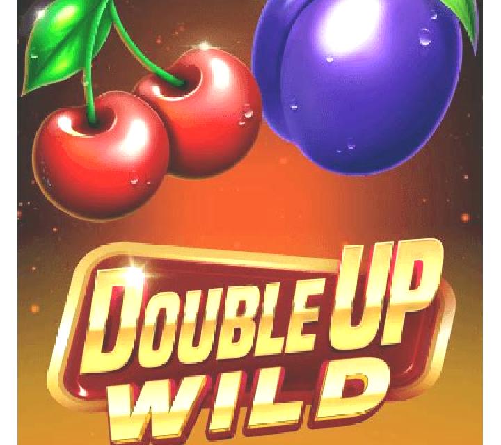 Wild Double Up (Slotopia) slot
