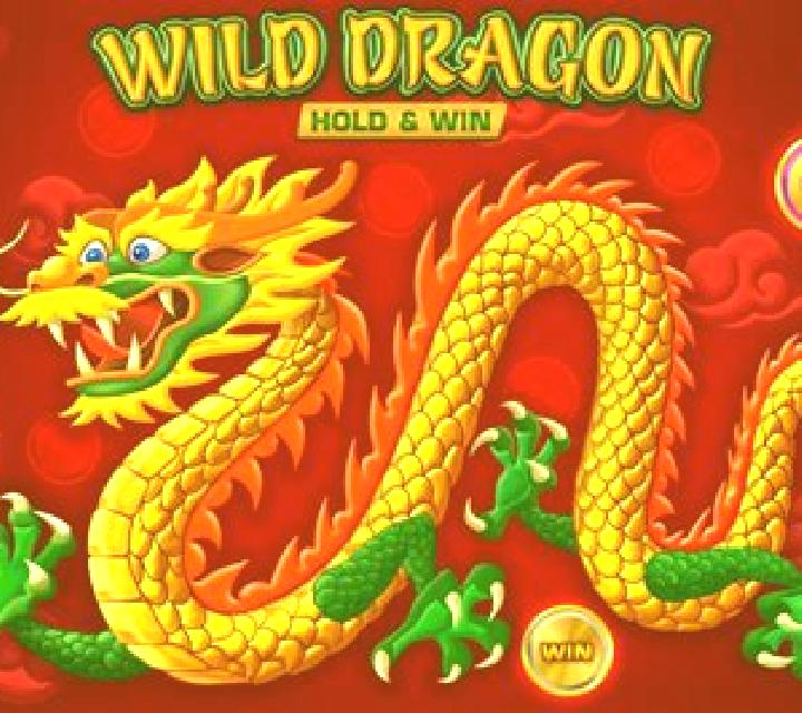 Wild Dragon (Amatic) slot game