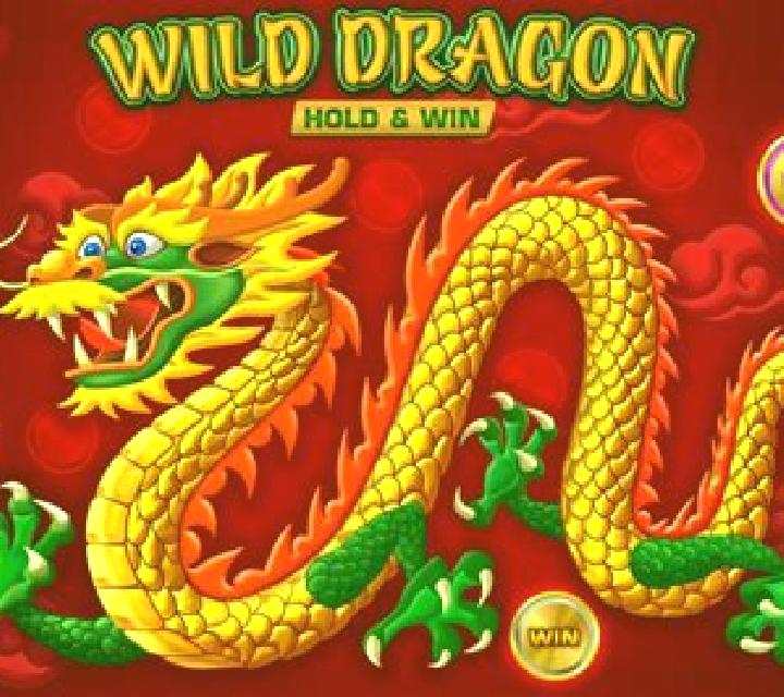 Wild Dragon (Amatic) slot machine