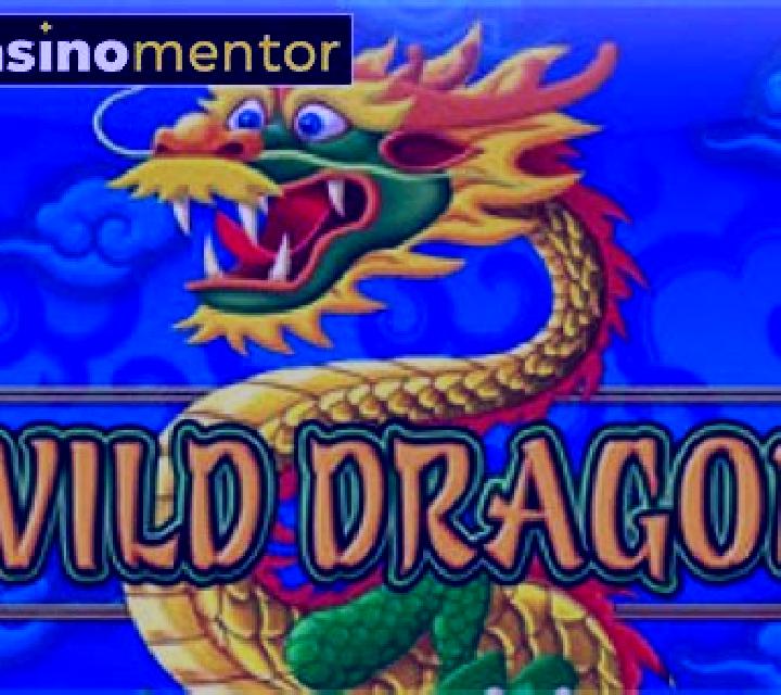 Wild Dragon (Amatic) slot