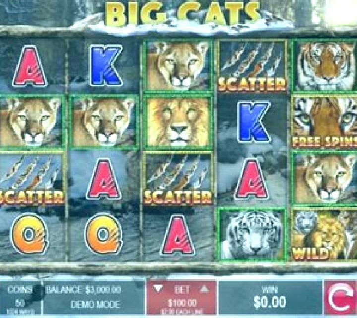Wild Extra Cats online slot
