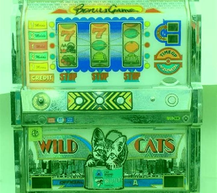 Wild Extra Cats slot game