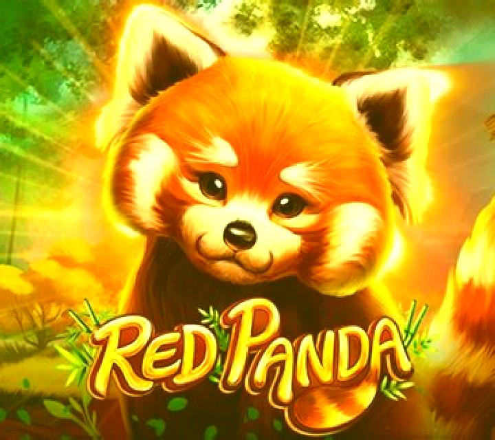 Wild Fairies (Red Panda) slot game
