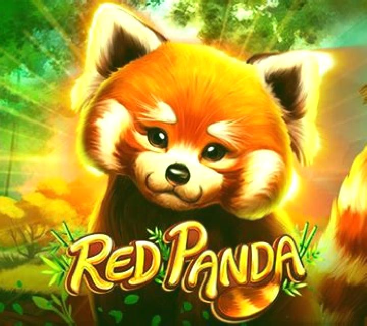 Wild Fairies (Red Panda) slot