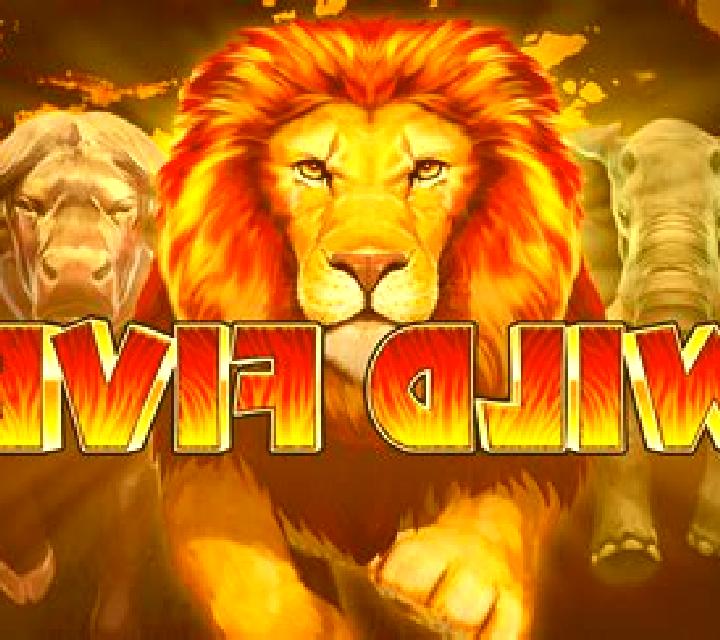 Wild Five slot game