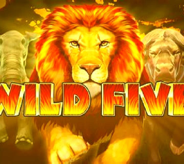 Wild Five slot machine