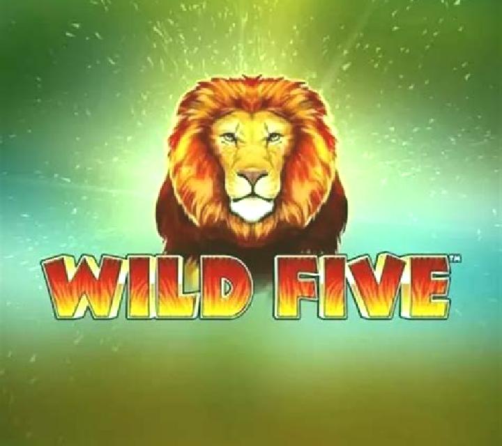 Wild Five slot
