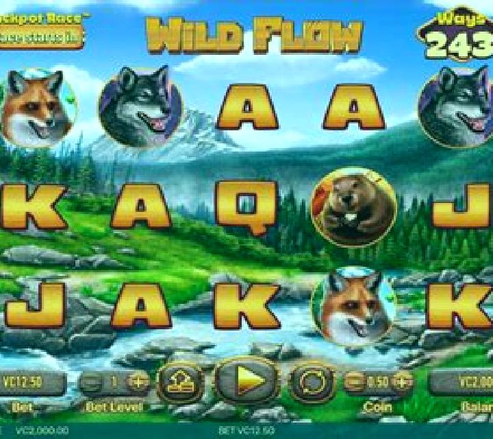 Wild Flow slot