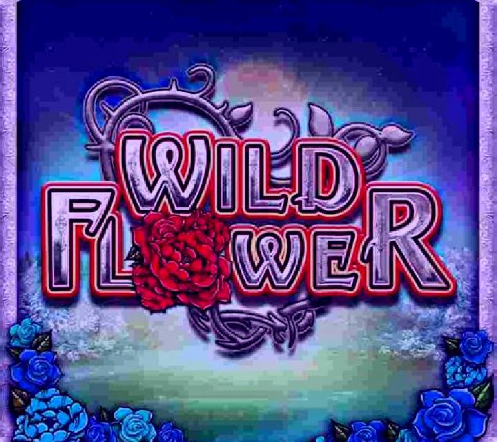 Wild Flower slot