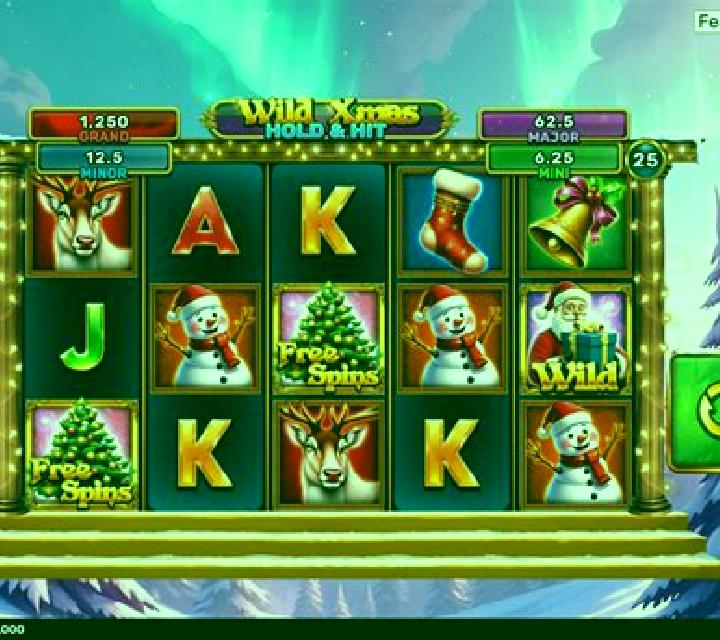 Wild Forties Xmas slot game