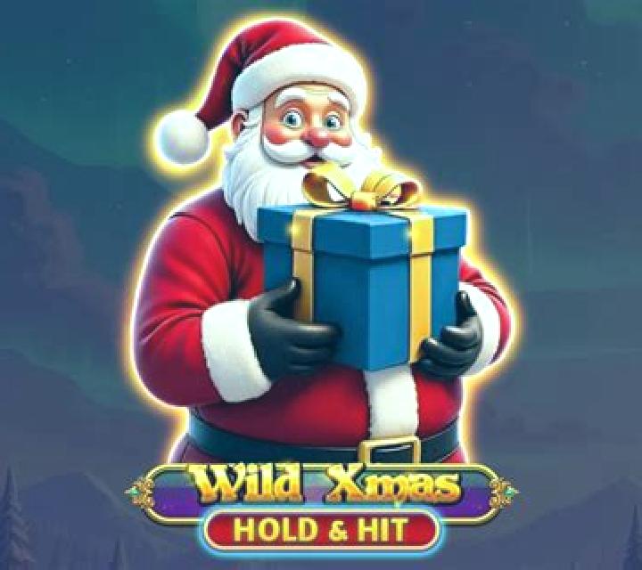 Wild Forties Xmas slot