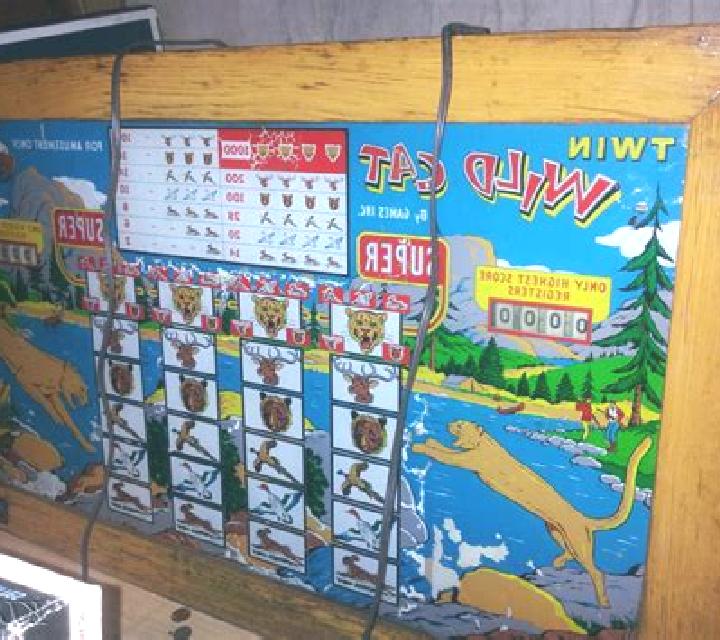Wild Frogsters slot machine