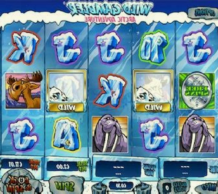 Wild Gambler - Arctic Adventures online slot