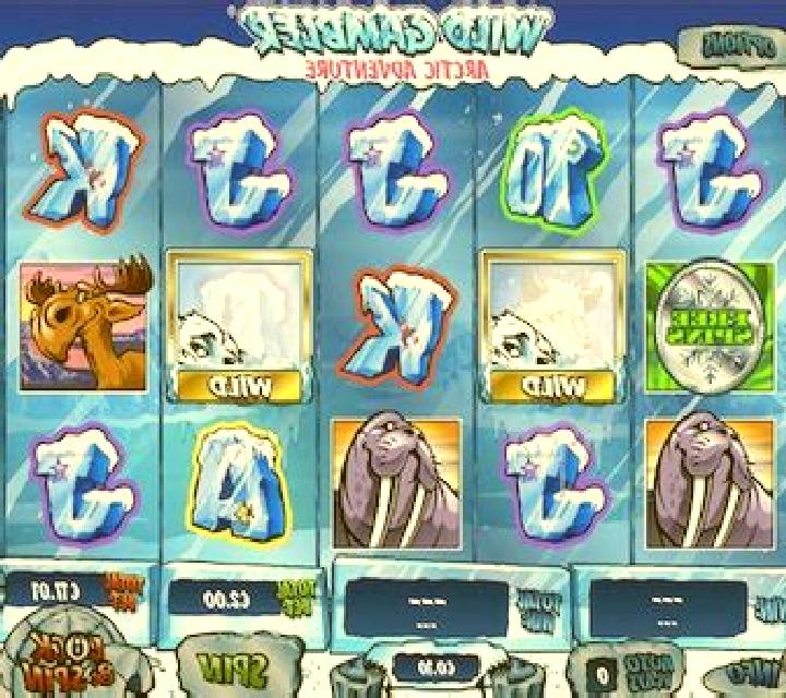 Wild Gambler - Arctic Adventures slot game