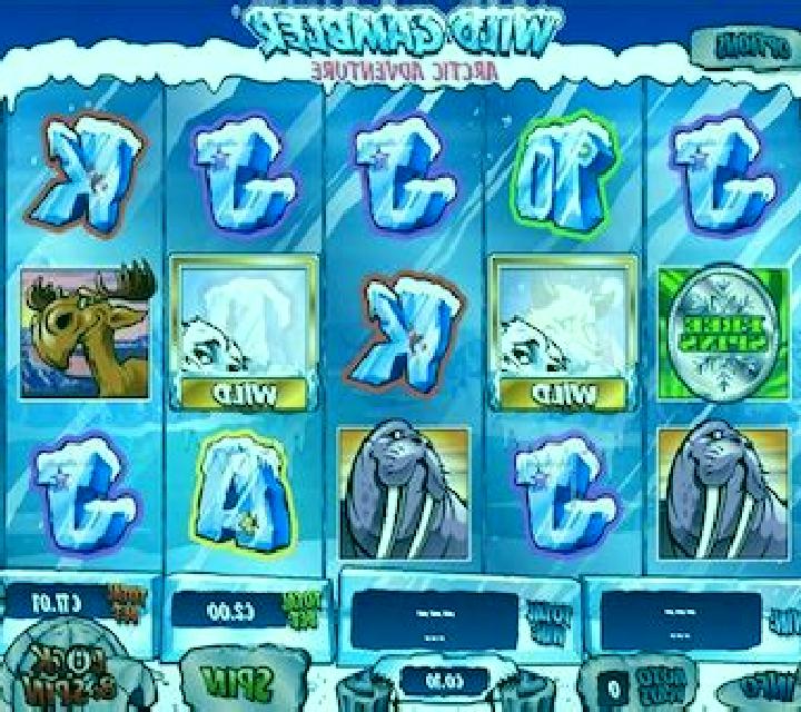 Wild Gambler - Arctic Adventures slot machine