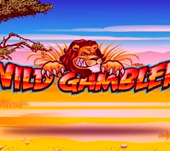 Wild Gambler slot game
