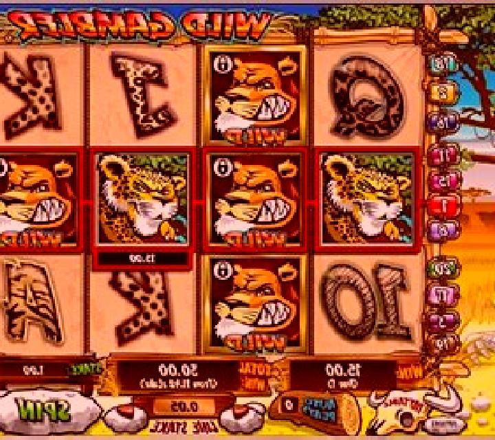 Wild Gambler slot