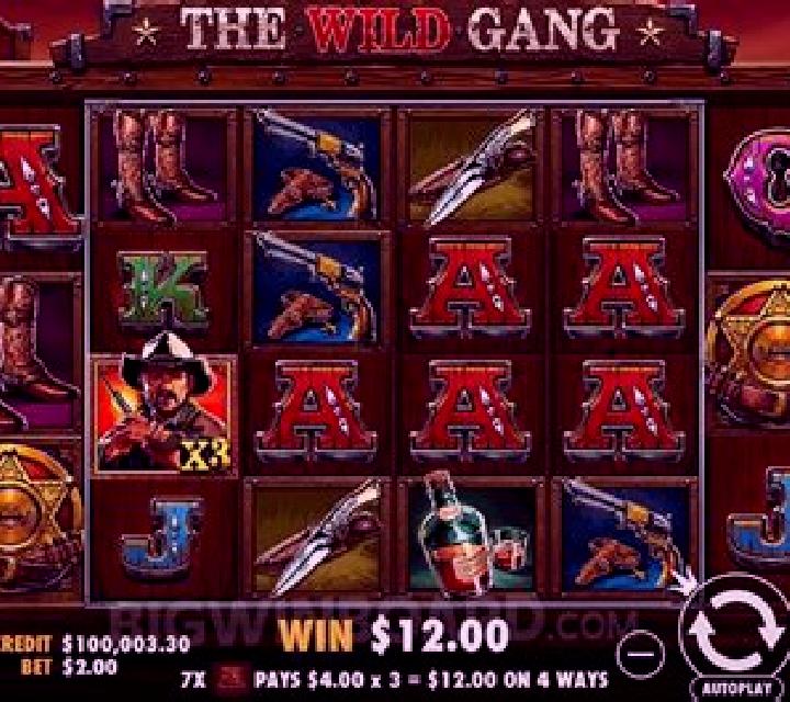 Wild Gang slot game