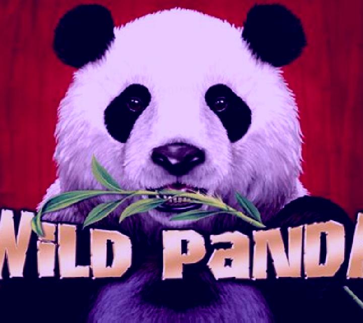 Wild Giant Panda online slot