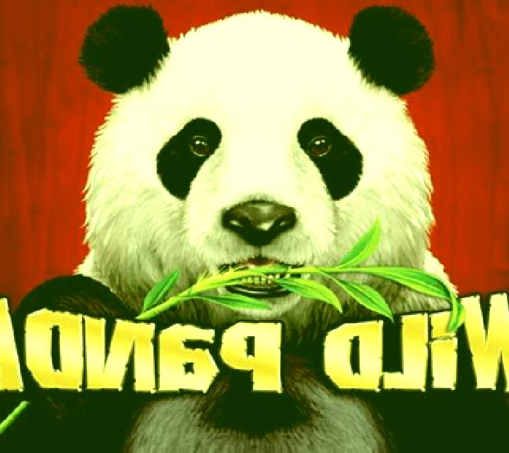 Wild Giant Panda slot game
