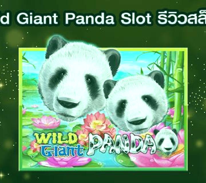 Wild Giant Panda slot