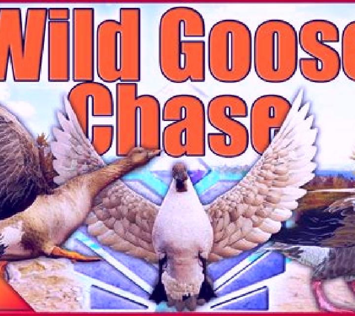 Wild Goose Chase online slot
