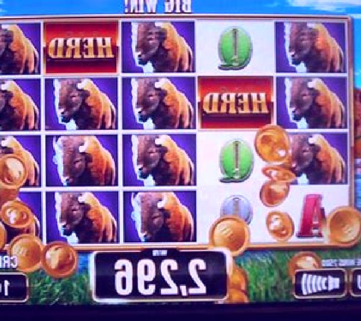Wild Herd slot machine