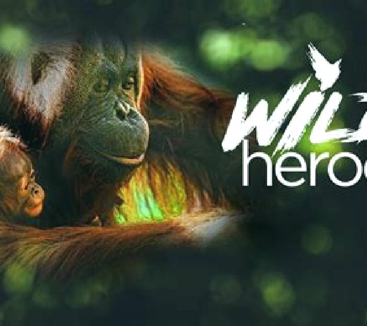Wild Heroes online slot