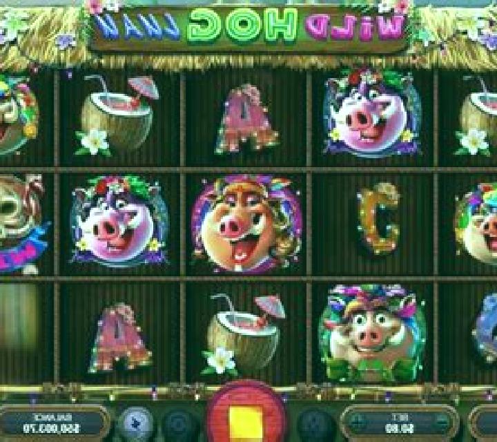 Wild Hog Luau slot machine