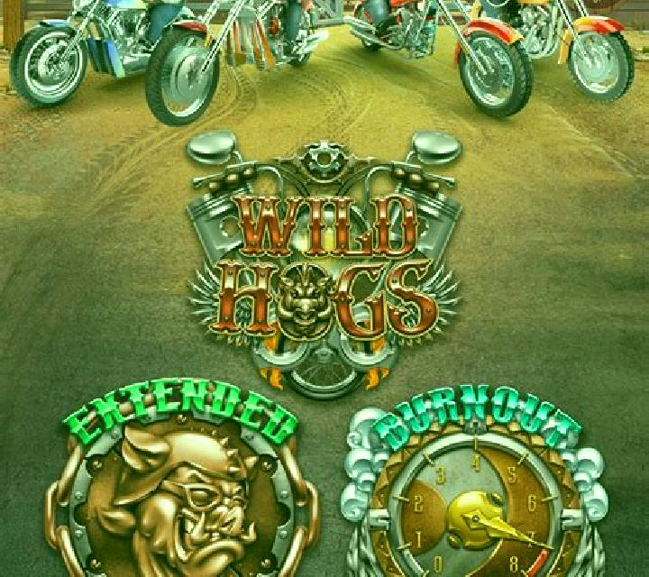Wild Hogs slot
