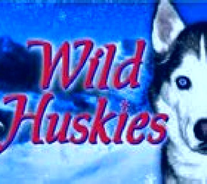 Wild Huskies online slot