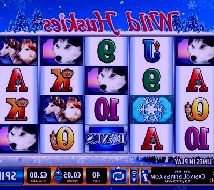 Wild Huskies slot game