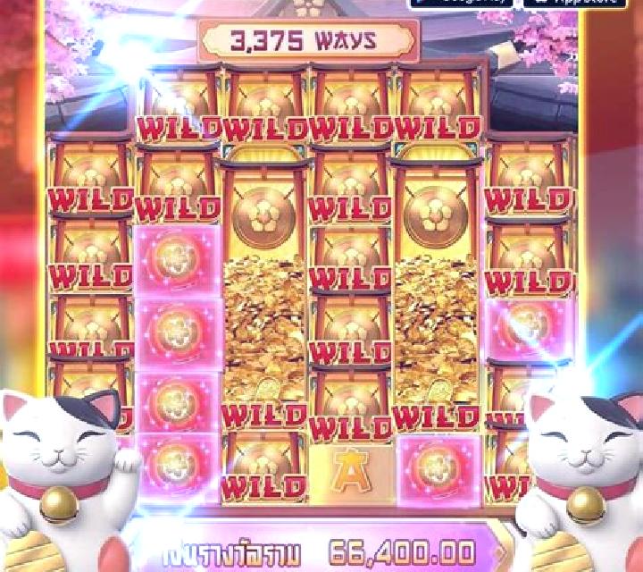 Wild Japan slot game