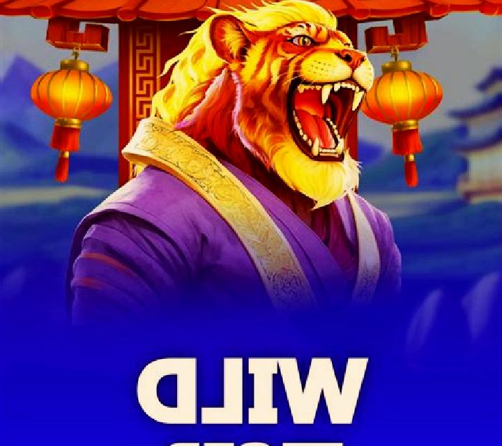 Wild Joe Gunfighter slot game