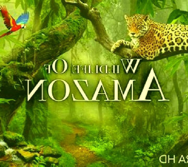 Wild Jungle (KA Gaming) online slot