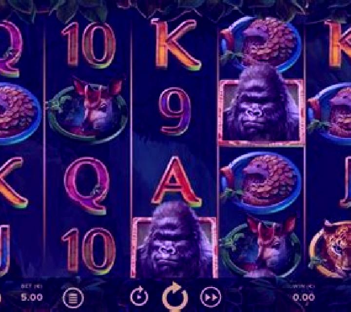 Wild Kingdom slot game